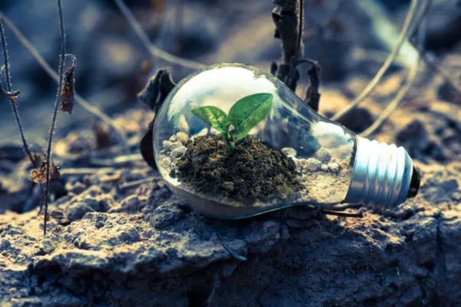 Tecnología verde